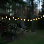 Miedzy Sosnami Jedwabno