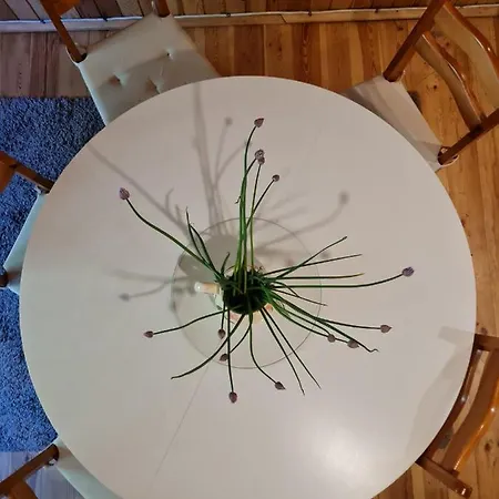 Miedzy Sosnami Prázdninový dům