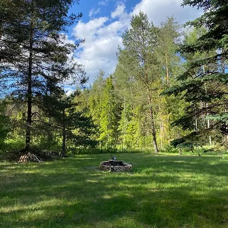 Miedzy Sosnami Jedwabno