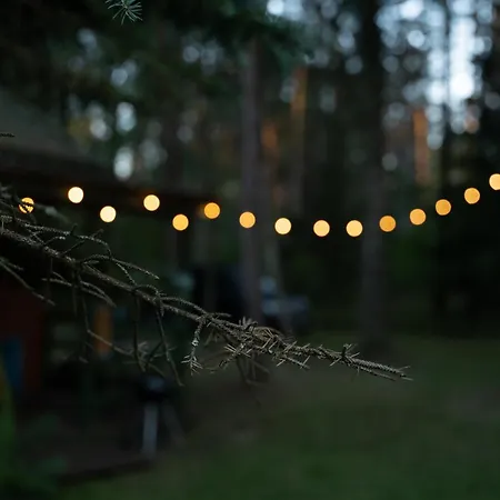 Miedzy Sosnami Jedwabno