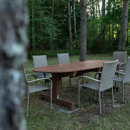 Miedzy Sosnami Prázdninový dům *