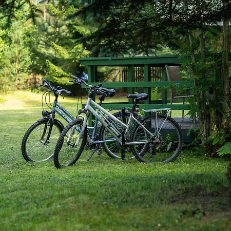 Hébergement de vacances Miedzy Sosnami *