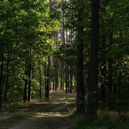 Miedzy Sosnami Hébergement de vacances