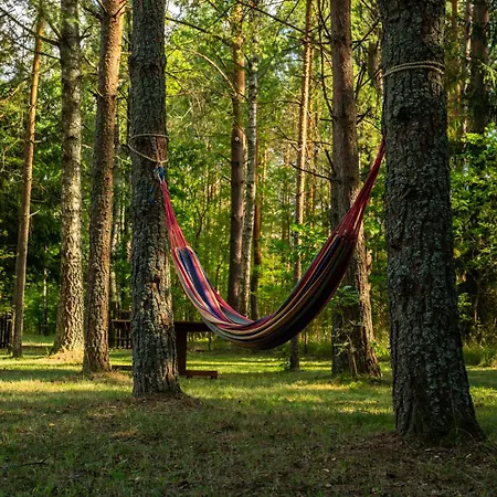 Miedzy Sosnami Hébergement de vacances Jedwabno
